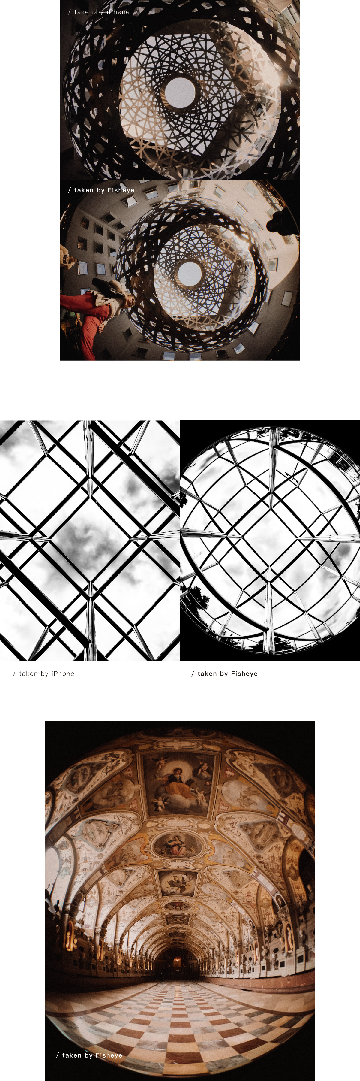 5倍微距鏡頭帶你觀察昆蟲、花朵等微小事物