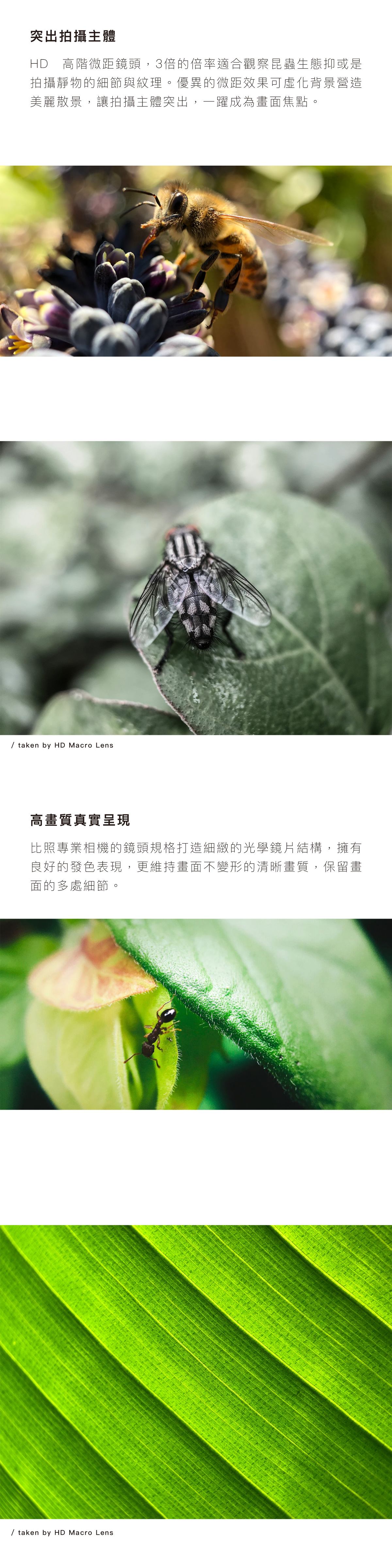HD 高階微距鏡頭，3倍的倍率適合觀察昆蟲生態抑或是拍攝靜物的細節與紋理